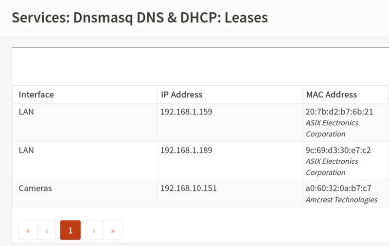 Dnsmasq Leases table showing a camera lease in the 192.168.10.x range